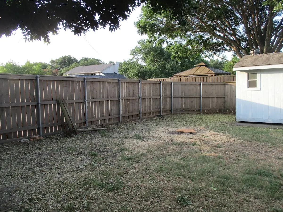 Cleared yard after professional tree removal in Rodeo